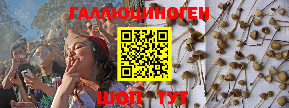 Галлюциногенные грибы ЛСД Бугульма